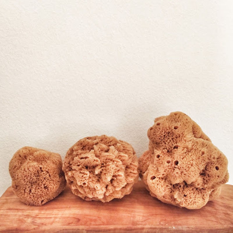 Natural Sea Sponge - Natural Brown Color 5-5.5in