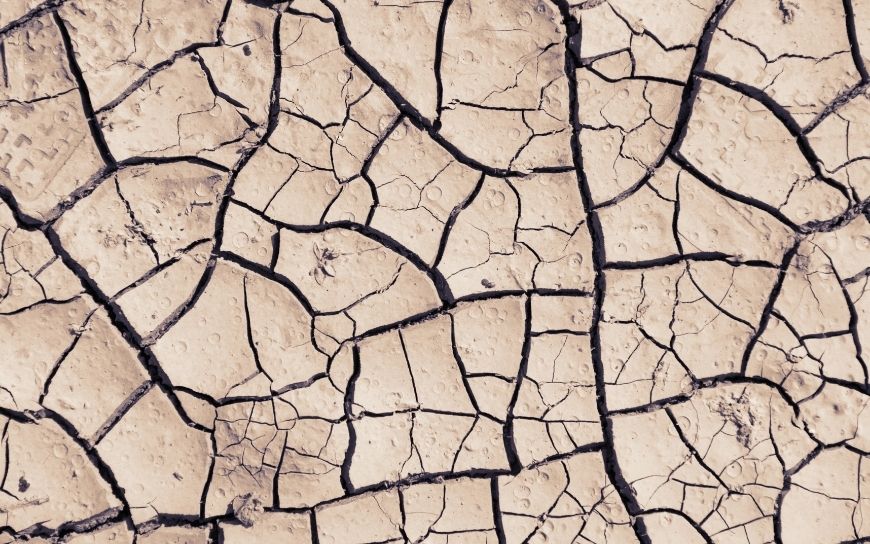 How to Treat Dry and Dehydrated Skin