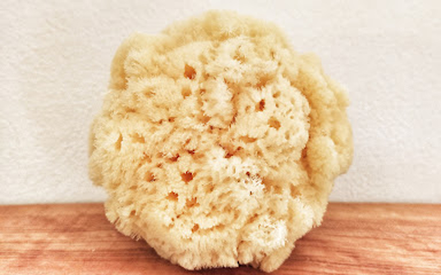 Eco-friendly products: Natural Sea Sponges
