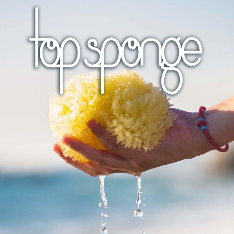 Natural Sea Sponge - White / Yellow Color 5-5.5in