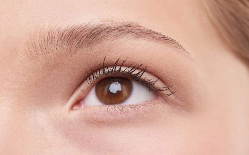 A woman's eye and eyebrow
