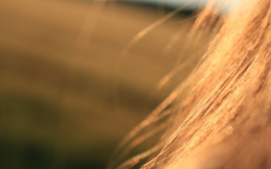 Hair oils to prevent split ends Blond hair in the sun