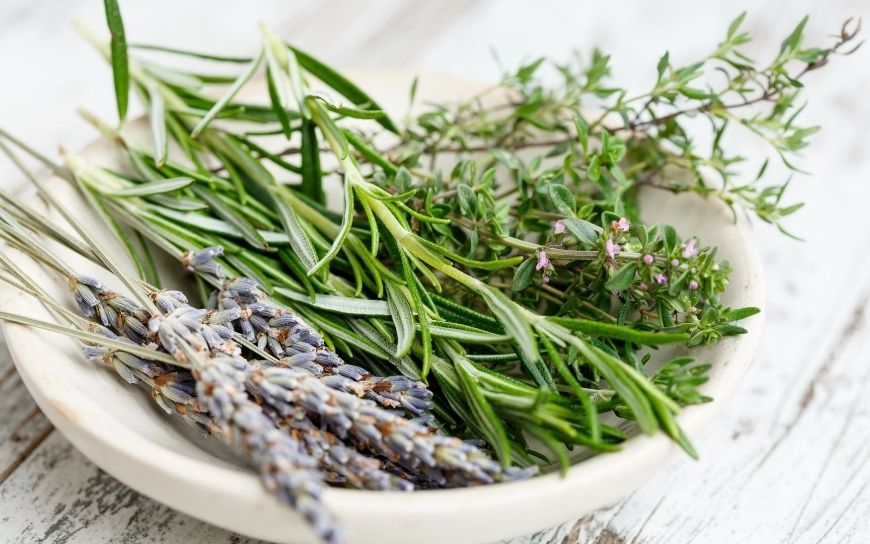 Rosemary for oily skin Herbs in a plate