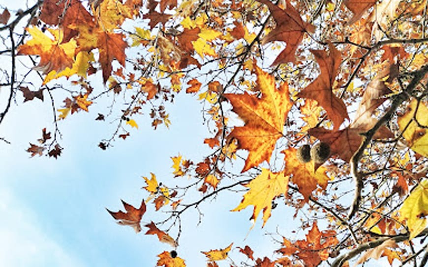 5 Συμβουλές για Περιποίηση και Ομορφιά το Φθινόπωρο