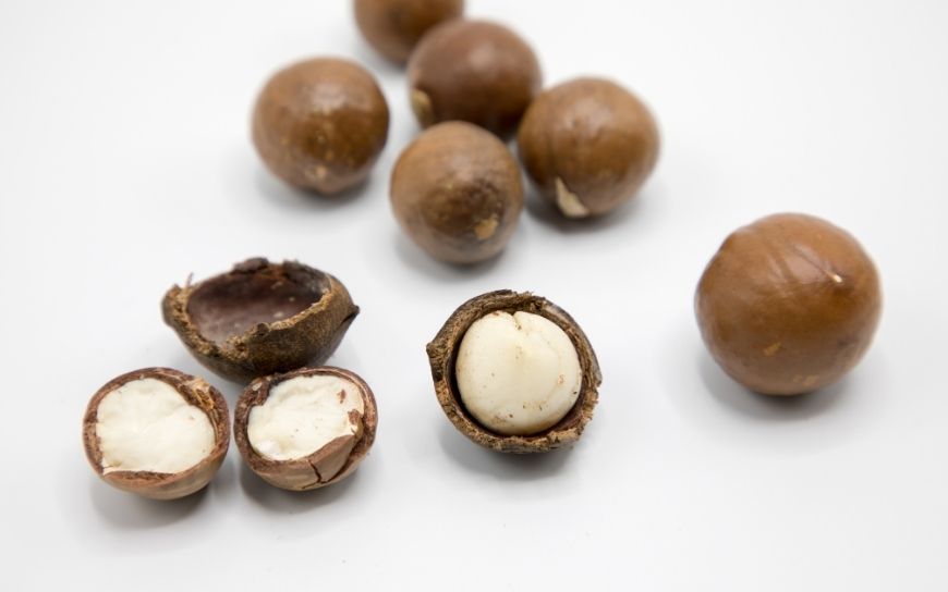 Macadamia nuts